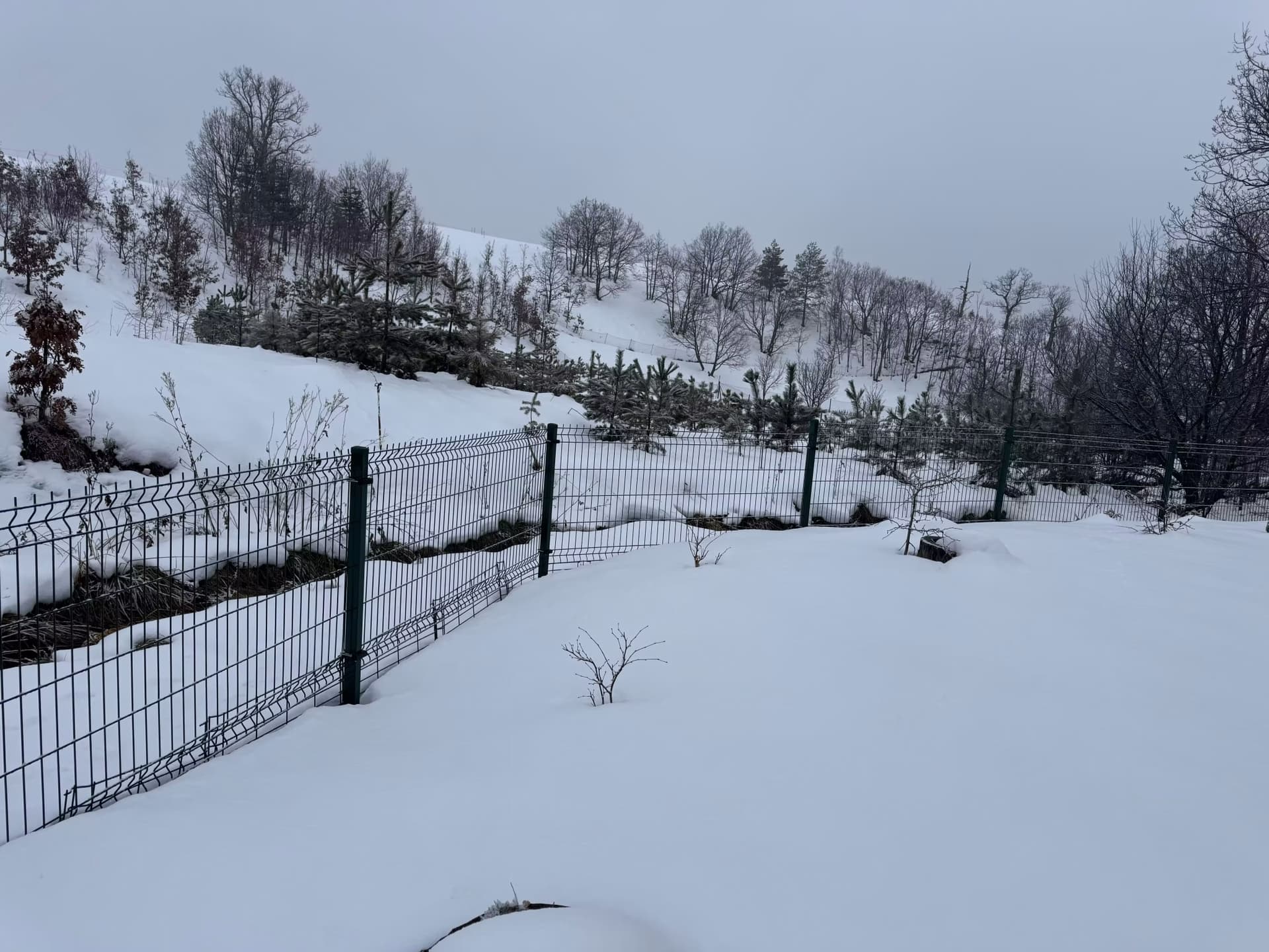 EUROFENCE 3D PANELNA OGRADA – ZLATIBOR