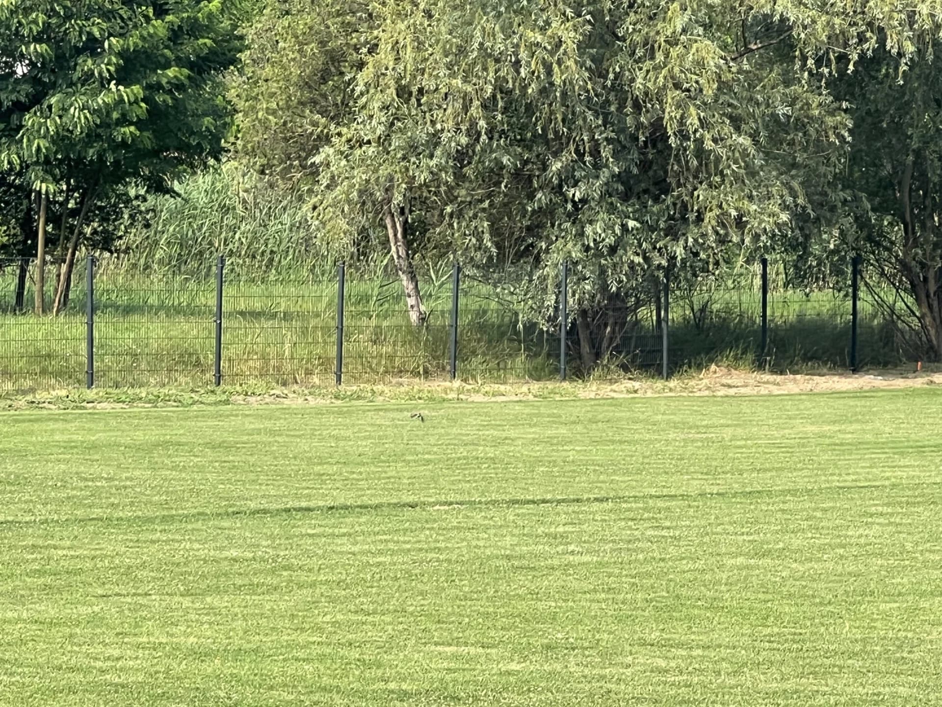 DOUBLEFENCE 2D PANELNA OGRADA